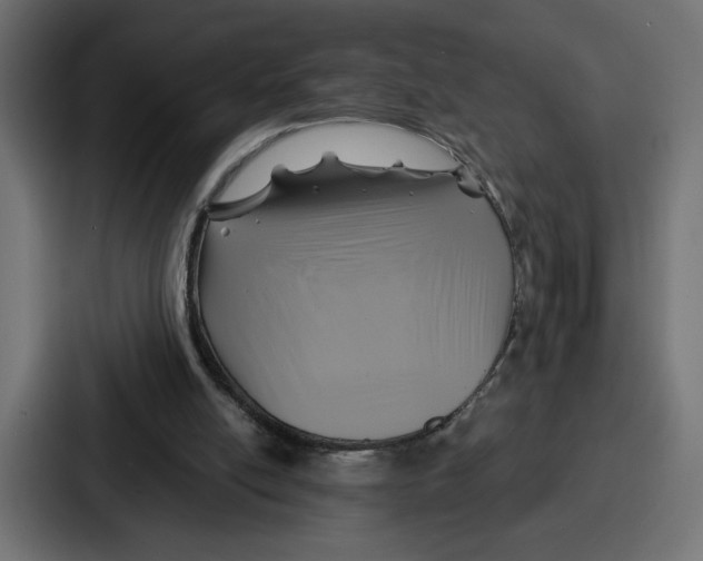 X0000086750054200705111703
