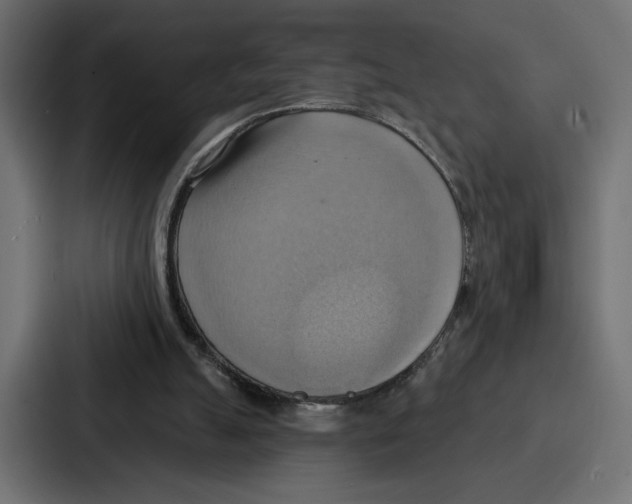 X0000086750055200705111703