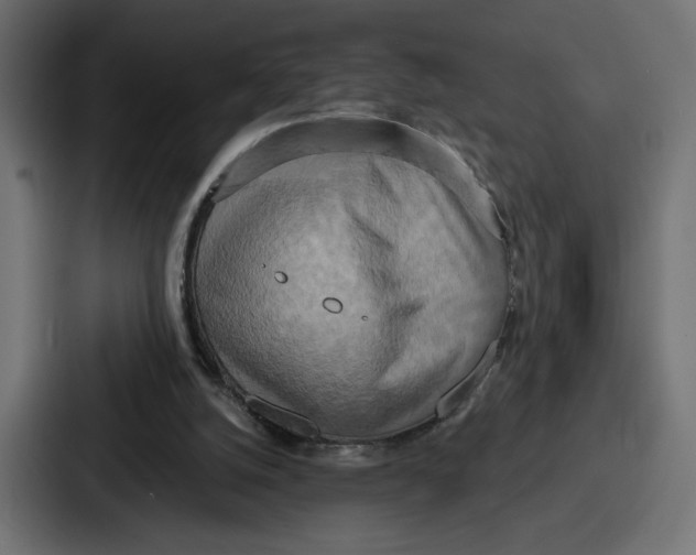 X0000086750056200705111703