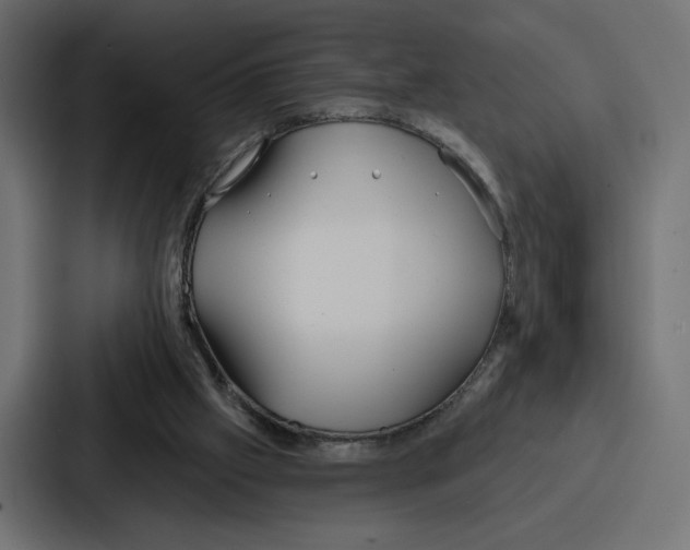 X0000086750057200705111703