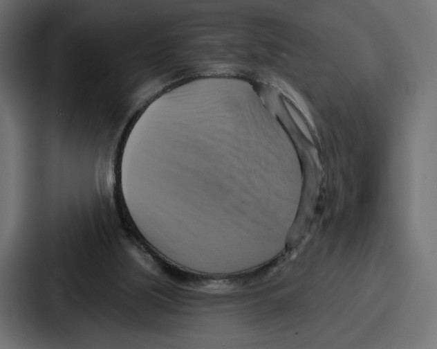 X0000086750059200705111703