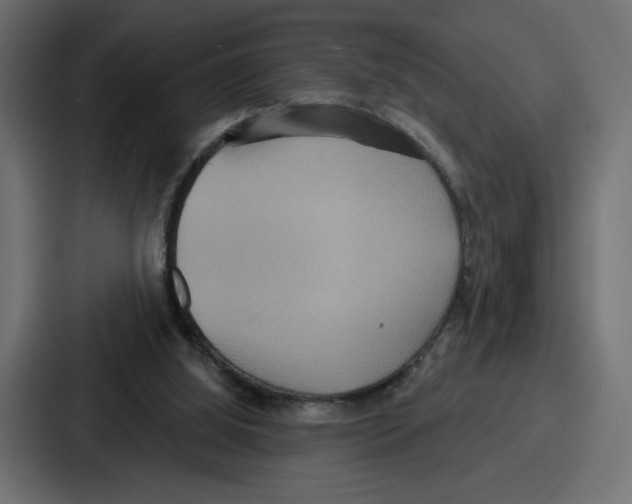 X0000086750060200705111703