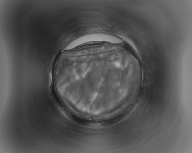X0000086750061200705111703