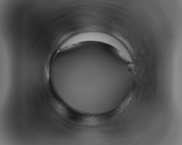 X0000086750062200705111703