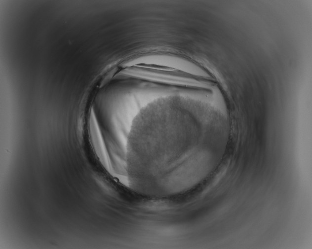 X0000086750063200705111703