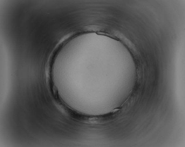 X0000086750064200705111703