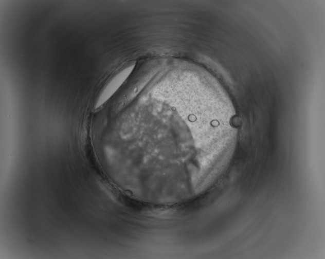 X0000086750065200705111703