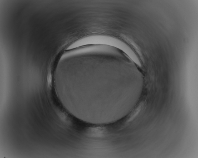 X0000086750067200705111703