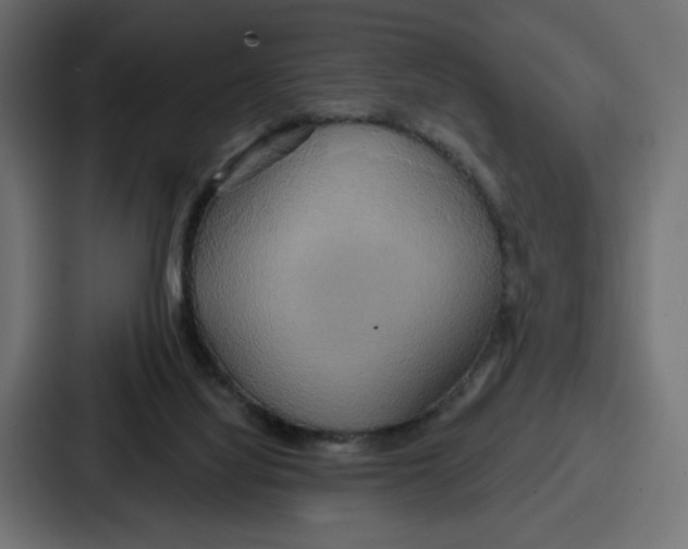 X0000086750068200705111703