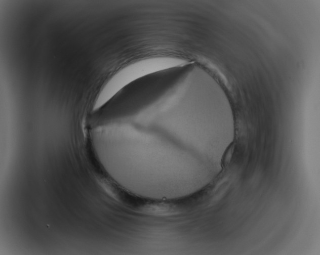 X0000086750069200705111703