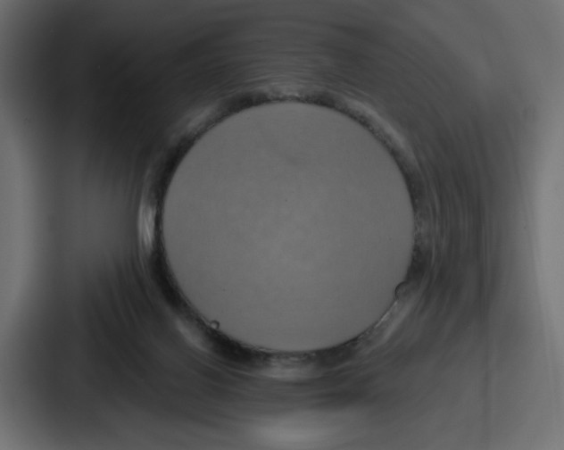 X0000086750070200705111703