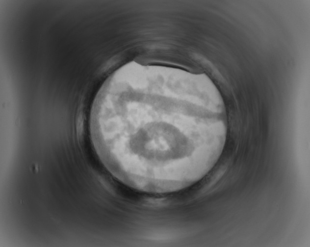 X0000086750071200705111703