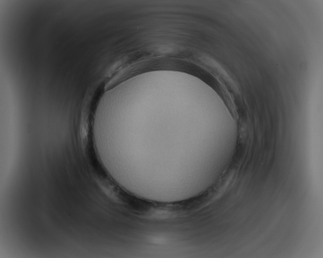 X0000086750072200705111703