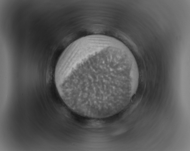 X0000086750073200705111703
