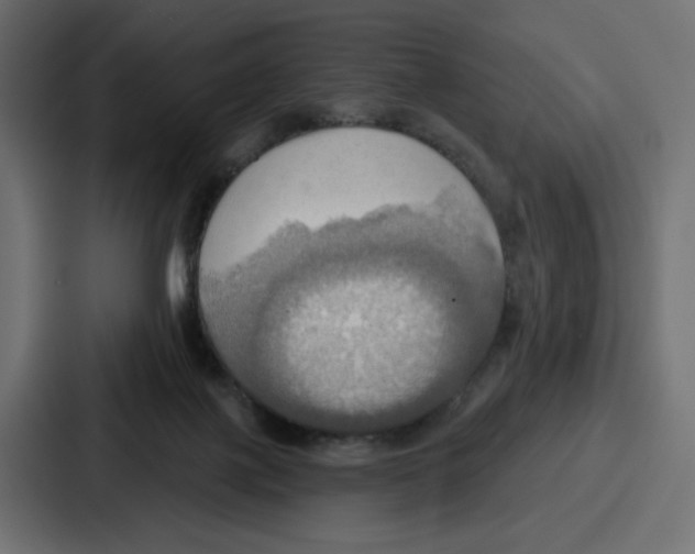 X0000086750075200705111703