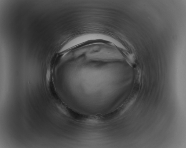 X0000086750076200705111703