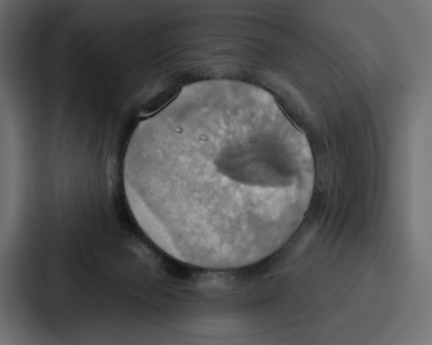 X0000086750077200705111703