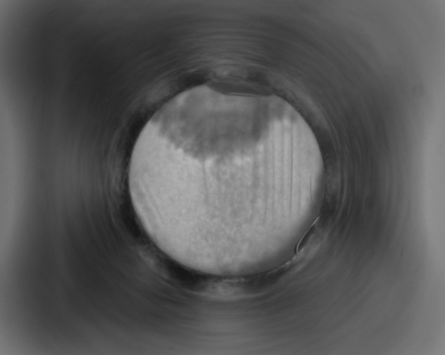 X0000086750078200705111703