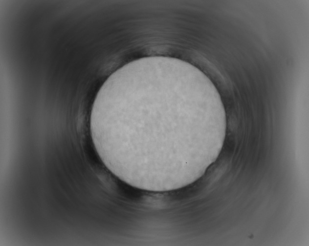 X0000086750079200705111703