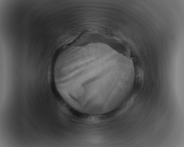 X0000086750080200705111703