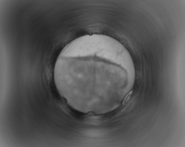 X0000086750081200705111703