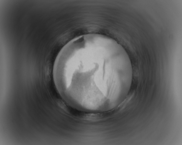 X0000086750082200705111703