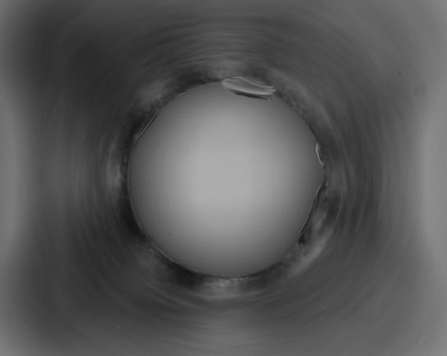 X0000086750084200705111703