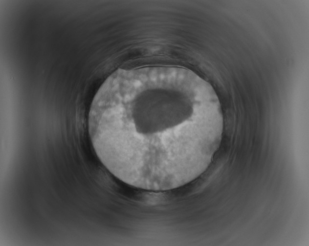 X0000086750085200705111703