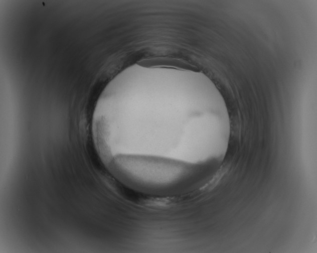 X0000086750086200705111703
