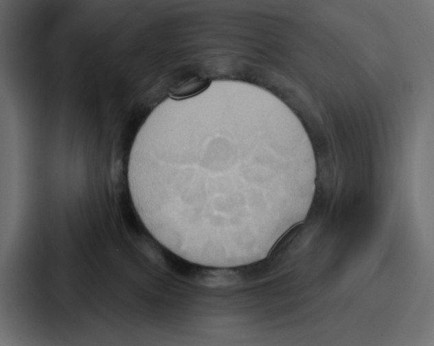 X0000086750087200705111703