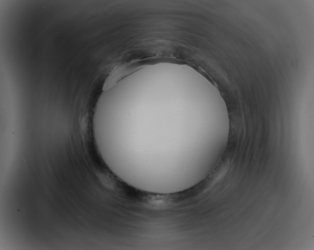 X0000086750088200705111703