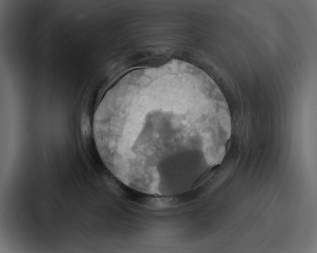 X0000086750089200705111703