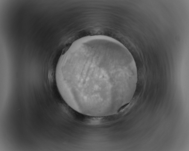 X0000086750090200705111704