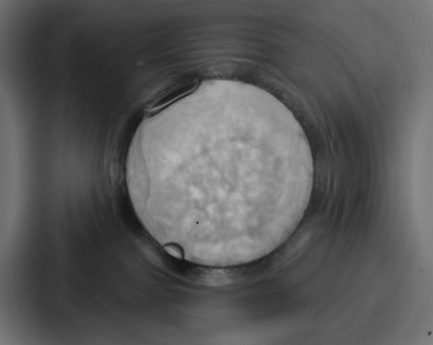X0000086750091200705111704