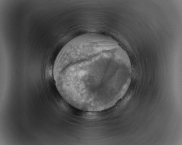 X0000086750095200705111704