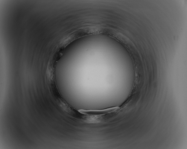 X0000086750096200705111704