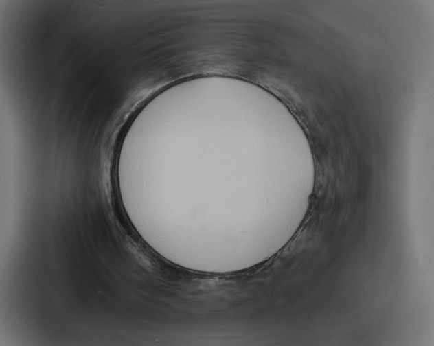 X0000086750098200705111703