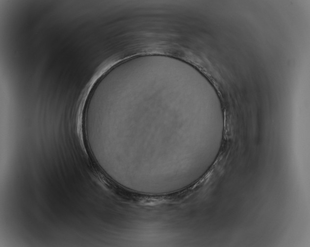 X0000086750099200705111703