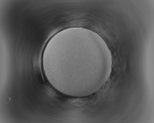 X0000086750100200705111703