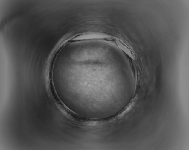 X0000086750101200705111703