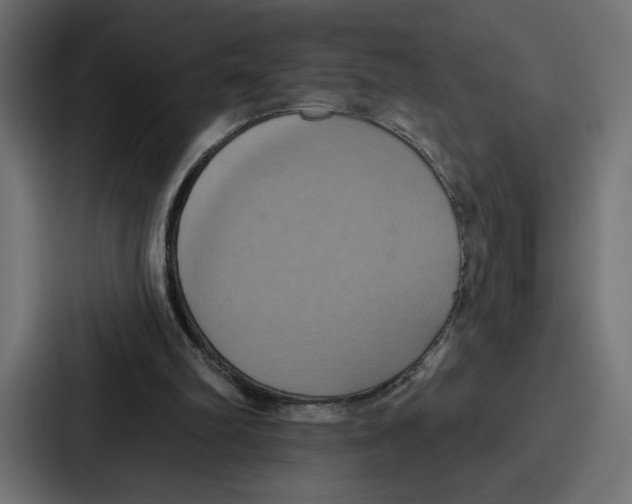 X0000086750102200705111703