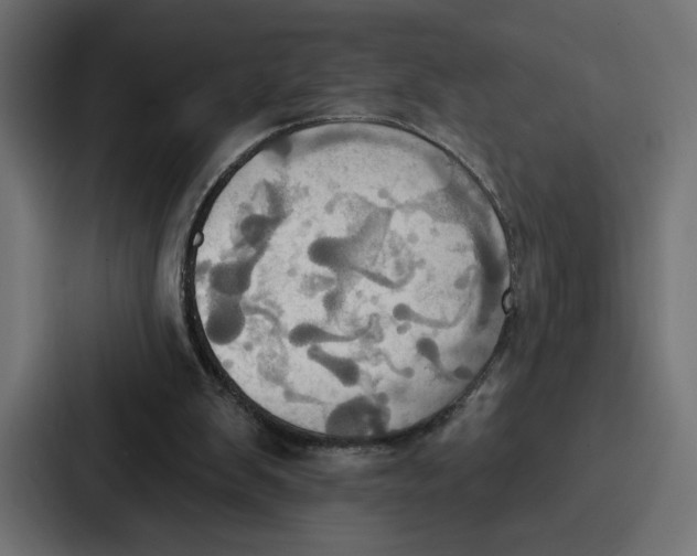 X0000086750103200705111703