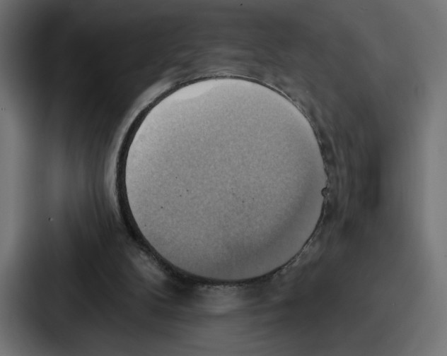 X0000086750104200705111703