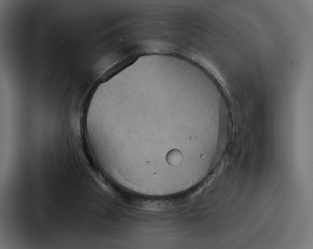 X0000086750105200705111703