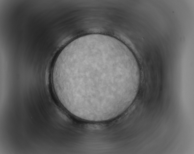 X0000086750106200705111703