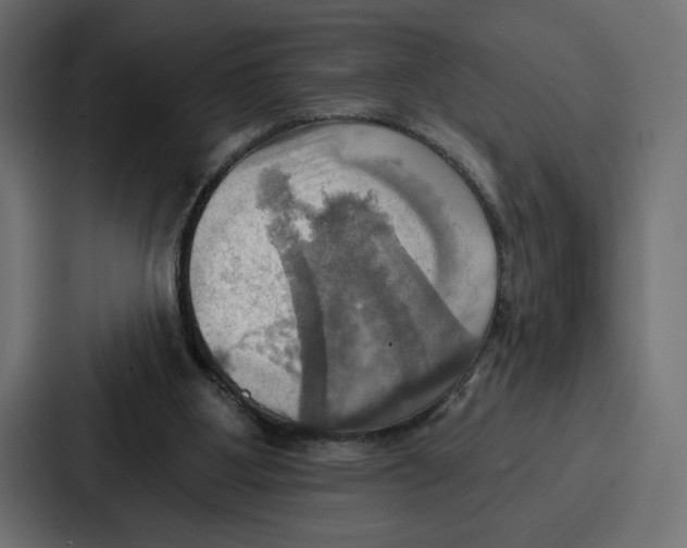 X0000086750107200705111703