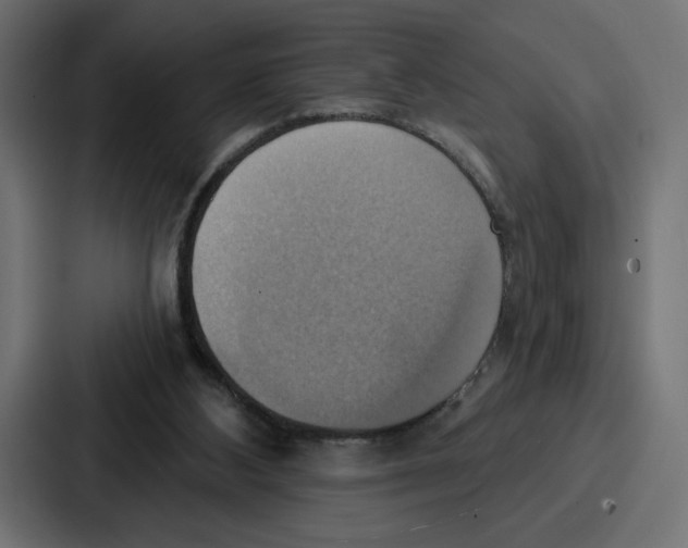 X0000086750108200705111703