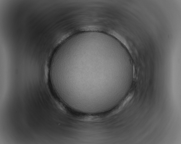 X0000086750109200705111703