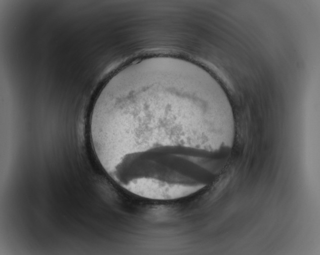 X0000086750111200705111703