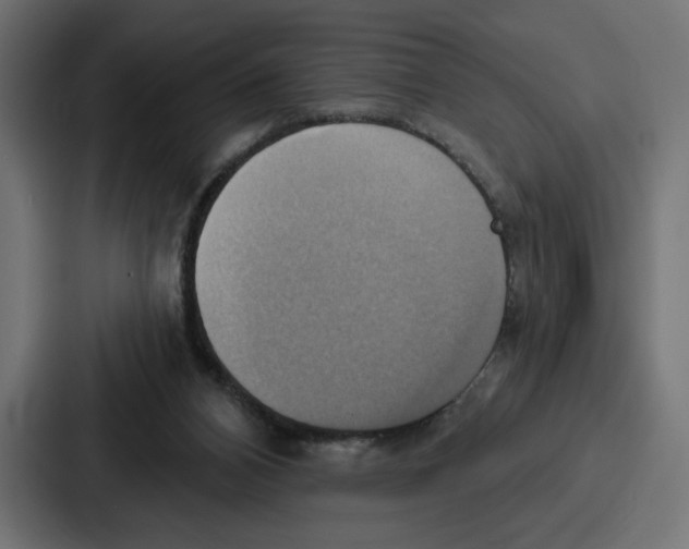 X0000086750112200705111703